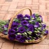 Basket Hire Single Flowers